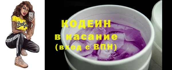 индика Вязники