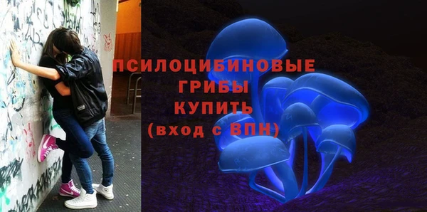 индика Вязники