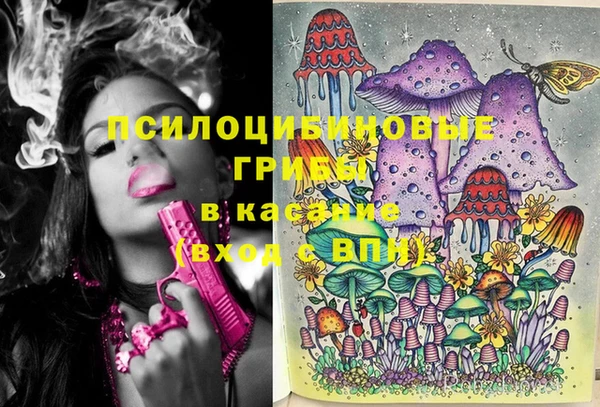 Альфа ПВП Нягань