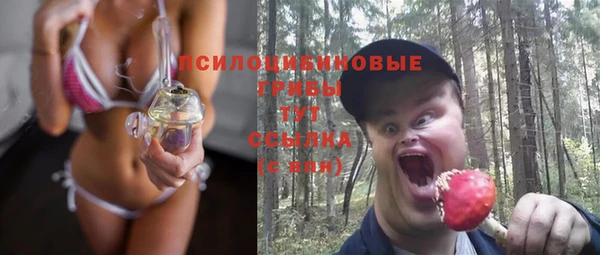 Альфа ПВП Нягань