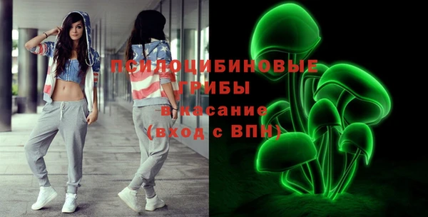 Альфа ПВП Нягань