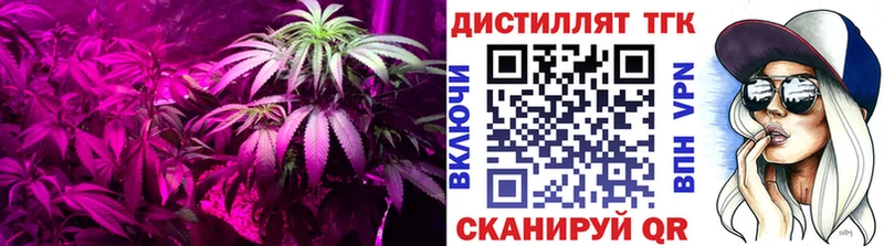 ссылка на мегу ССЫЛКА  Красный Холм  дарк нет состав  ТГК концентрат 