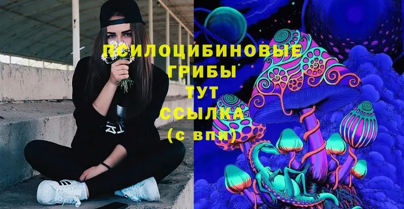 Псилоцибиновые грибы Cubensis  ОМГ ОМГ зеркало  Красный Холм 