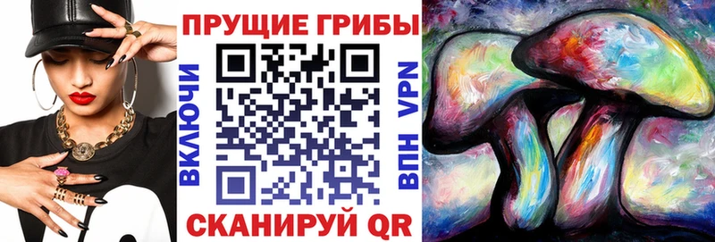закладка Красный Холм Псилоцибиновые грибы MAGIC MUSHROOMS