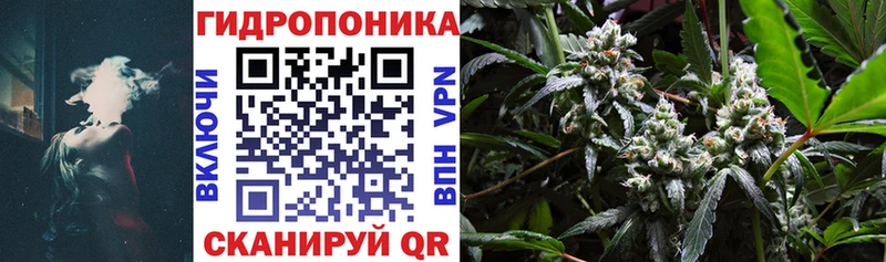Бошки Шишки сатива Красный Холм